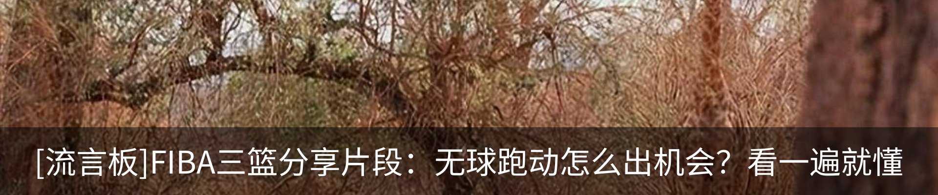 资讯中心